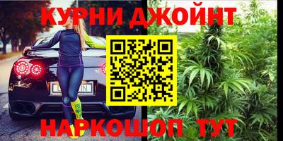 молекула духа Гатчина