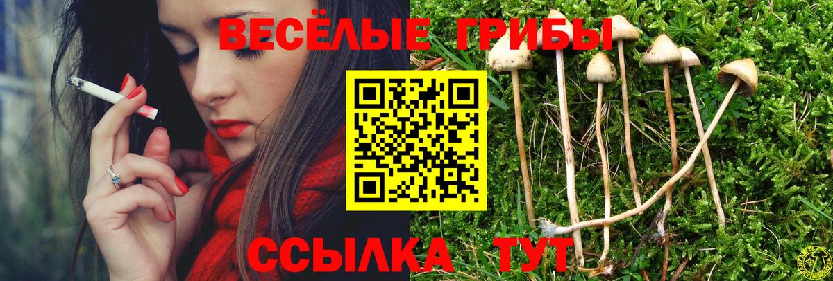 Псилоцибиновые грибы Psilocybine cubensis Муром
