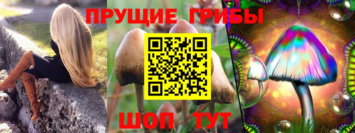 Галлюциногенные грибы Psilocybine cubensis  Псилоцибиновые грибы Cubensis  Муром  купить наркотик  Вход с VPN 